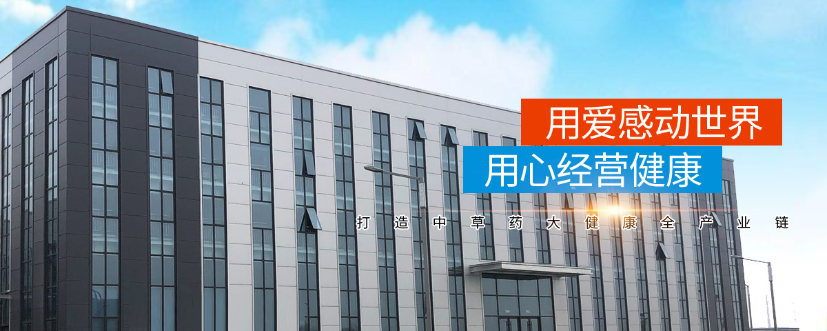 河南正高藥業有限公司