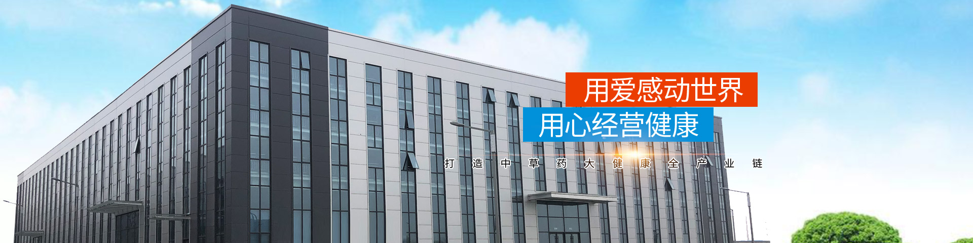 河南正高藥業有限公司