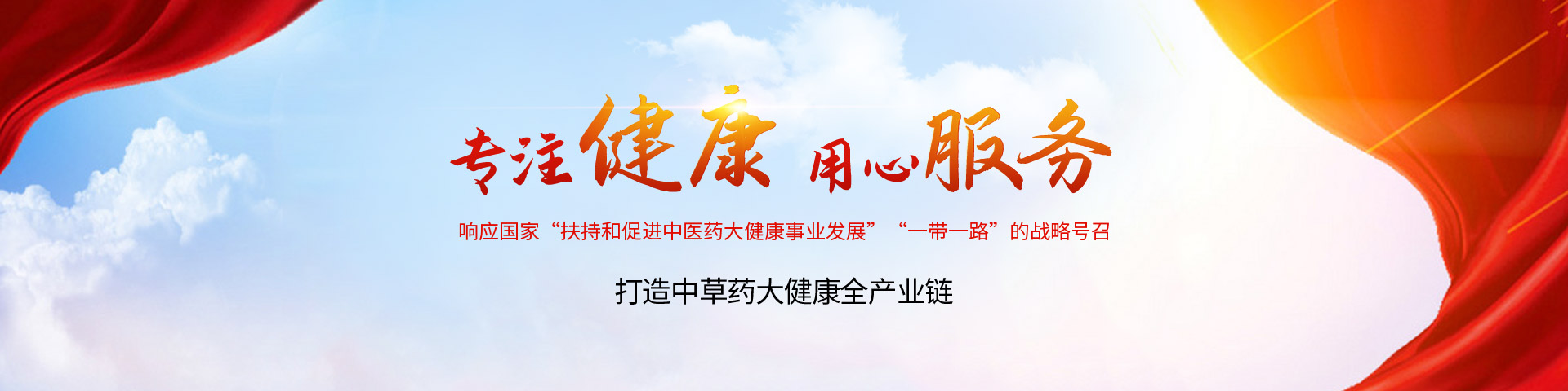 河南正高藥業有限公司
